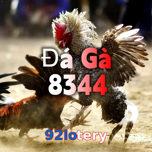 92lotery